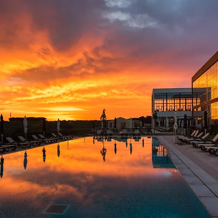 Gale Collection Sintra