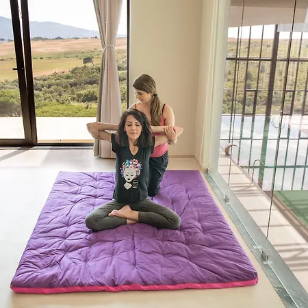 Hotel Gale Collection